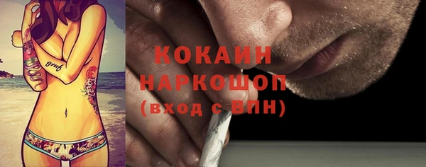 мет Алексин