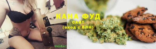 дмт Алзамай