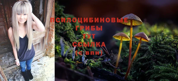дмт Алзамай