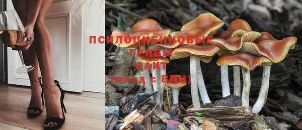 дмт Алзамай