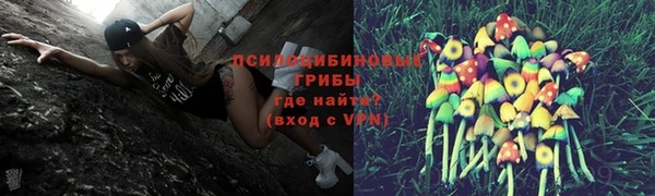 ешки Алексеевка