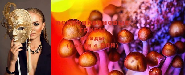 мет Алексин